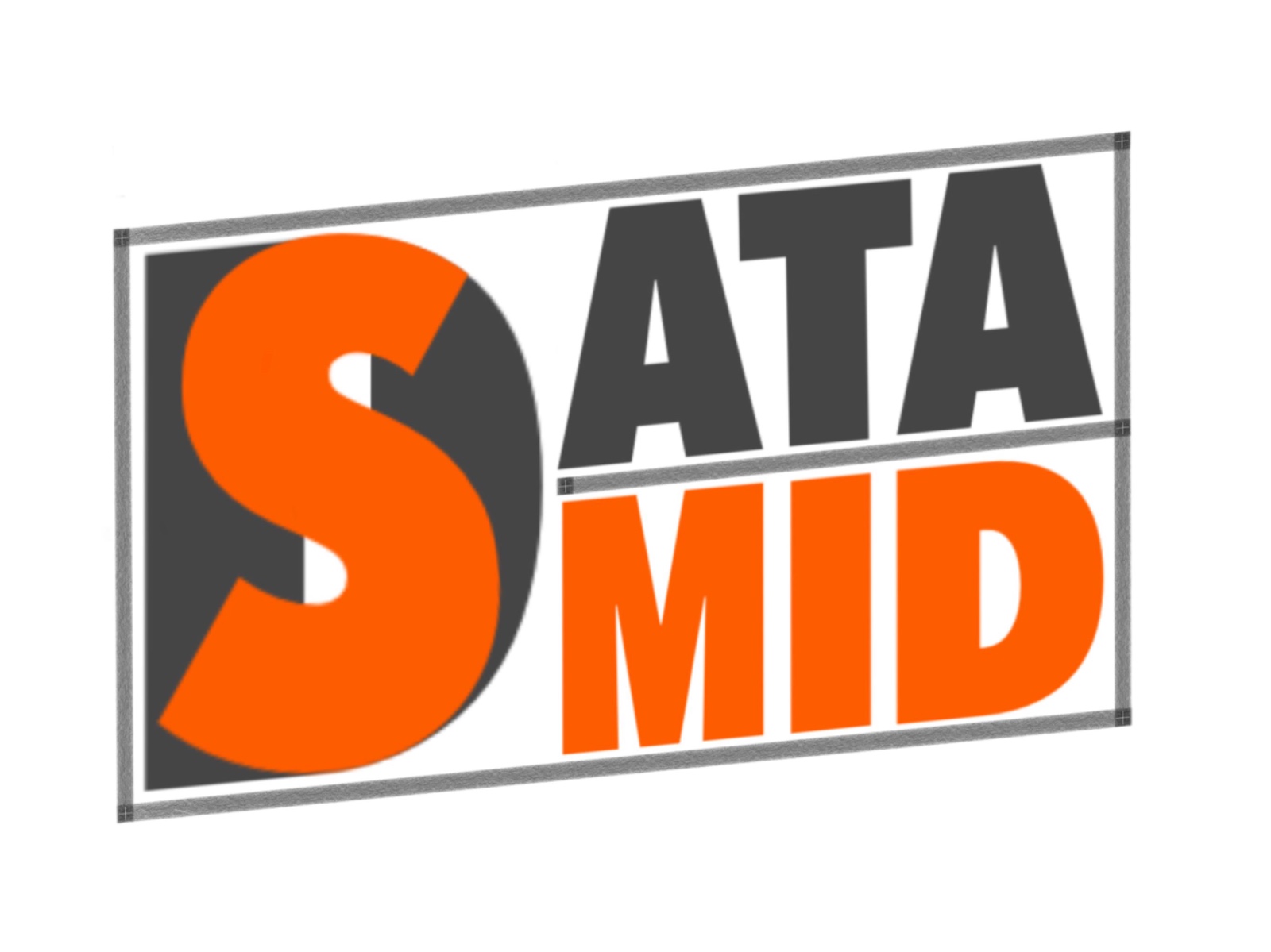 Datasmid logo